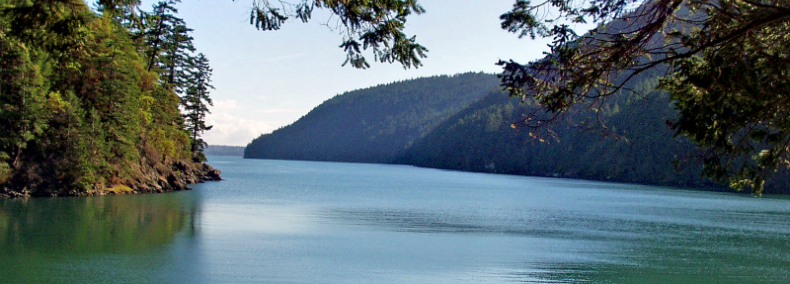 TIME MACHINE 2019: The debate over a whale sanctuary in Washington&nbsp;state