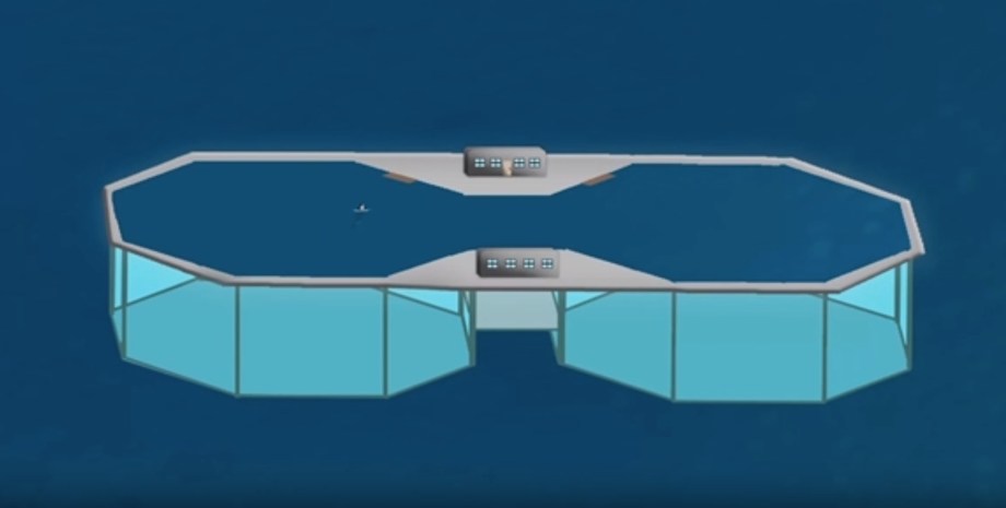 What’s the next step if the government denies permits for Tokitae to be moved to a sea&nbsp;pen?