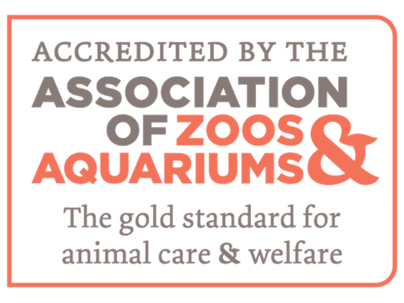 AZA sends request to President Trump requesting reforms including USDA&nbsp;inspections
