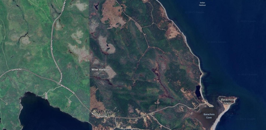Local Landowners Express Concerns Over Issuance of Whale Sanctuary&nbsp;Lease